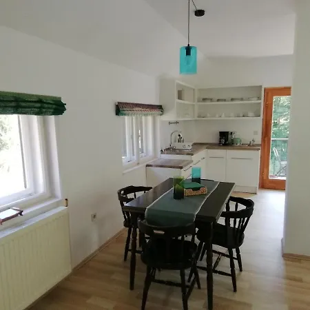 Waldhaus Pat Apartment *