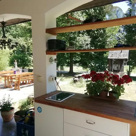 Apartment Waldhaus Pat *